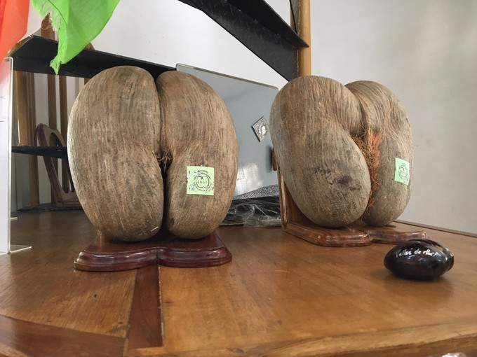有着塞舌尔象征的五月谷,这里有着世界上独一无二的产物——海椰子,有