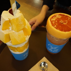 活动模块 