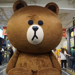 活动模块 