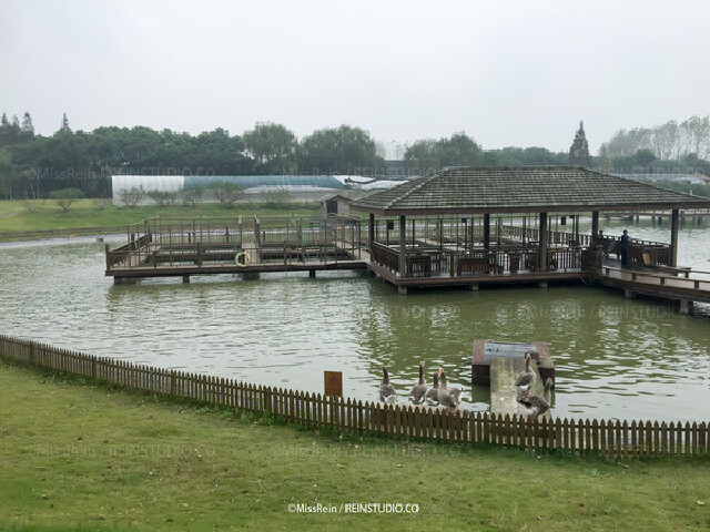 上海周末哪里玩,太阳岛度假村里去逍遥_太阳岛旅游区
