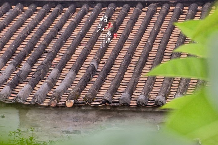 体现岭南建筑艺术风格的水磨青砖墙,蚝壳墙,镬耳风火山墙,砖雕,灰塑