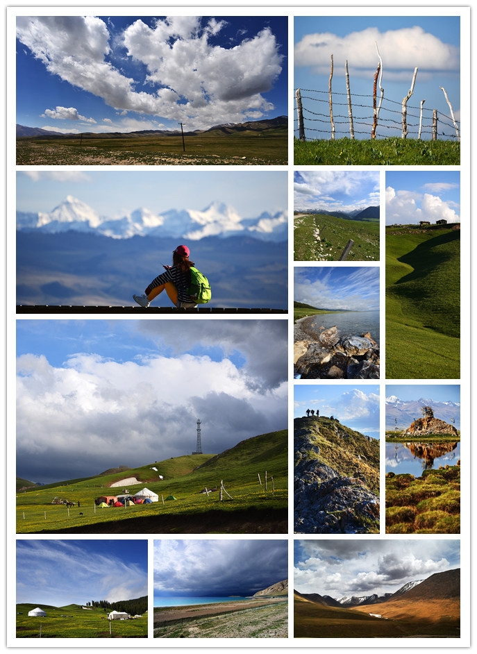 2013年5月末,我重新踏上新疆广袤辽阔的大地,特地来看初开的草原