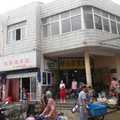 活动模块 