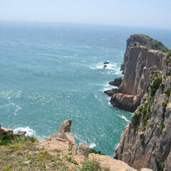 活动模块 