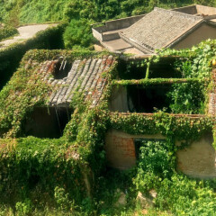 活动模块 