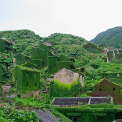 活动模块 