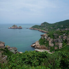 活动模块 