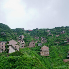 活动模块 