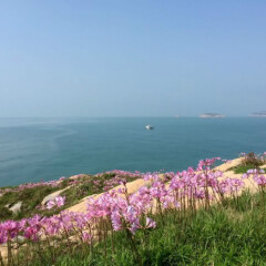 活动模块 