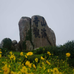 活动模块 