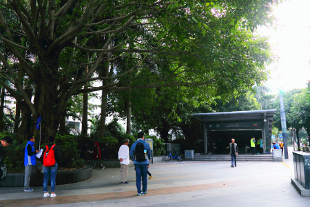 小交通模块 