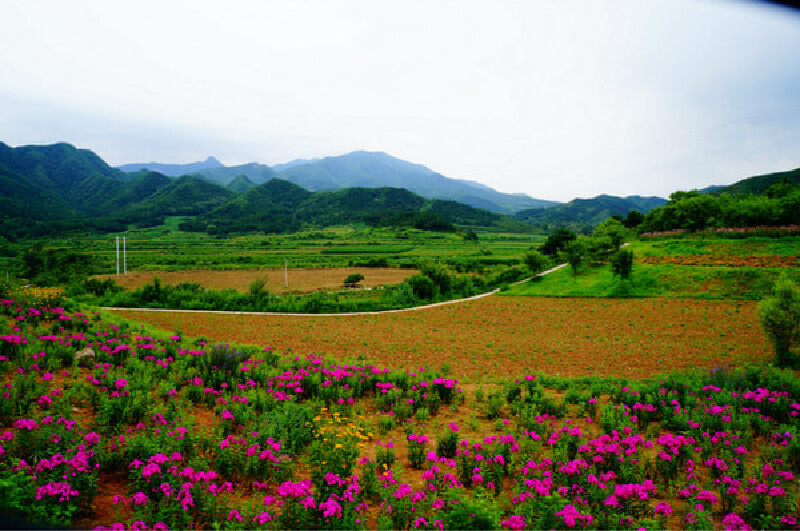 【北京】延庆四季花海,一个天然的大花园