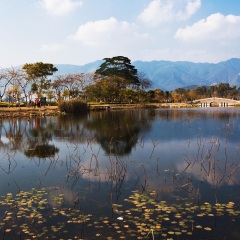星湖湿地公园2