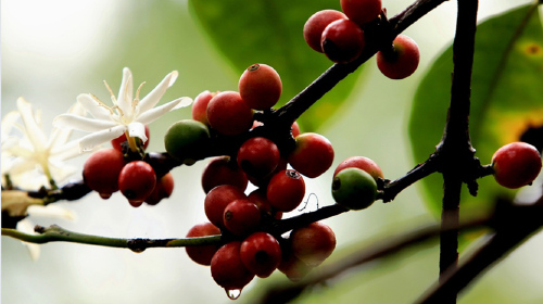 http:\/\/www.tuniu.com\/tour\/210409022