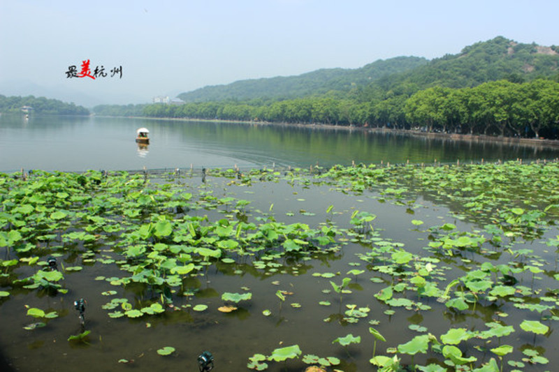 西湖美景三月天简谱_情人节后 最适合情侣的牵手旅行地(3)