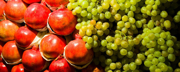 六月去新疆穿衣指南_六月去新疆当月天气_六