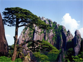 現(xiàn)在去杭州烏鎮(zhèn)旅游多少錢_8月杭州烏鎮(zhèn)旅游_去杭州烏鎮(zhèn)旅游要多少錢