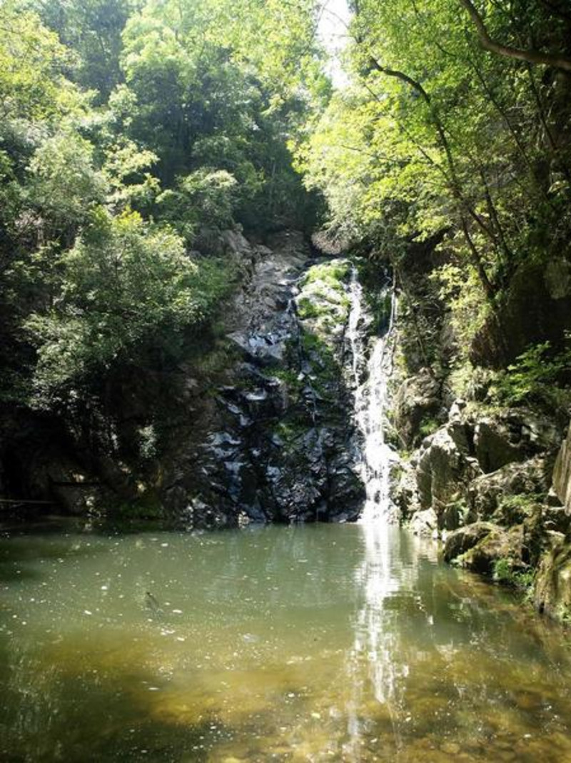 开化古田山之旅