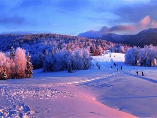 東北長(zhǎng)白山自由行還是跟團(tuán)好_怎么去東北長(zhǎng)白山旅游_旅游團(tuán)東北長(zhǎng)白山