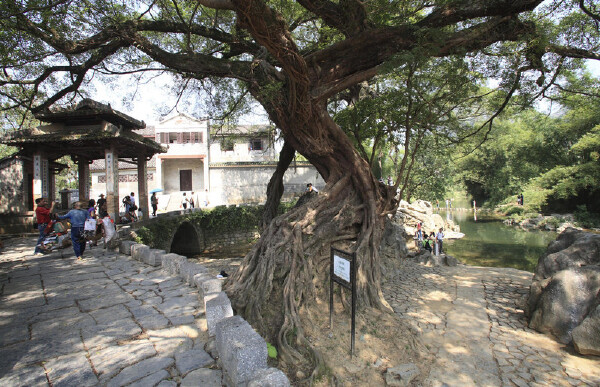 六月去普洱天气温度_六月去普洱穿什么衣服_