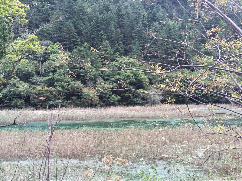 二月去九寨沟穿衣指南_二月去九寨沟穿什么衣服_二月去九寨沟天气温度