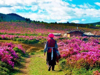 几月份去丽江旅游好_丽江旅游选择_丽江5晚6日旅游