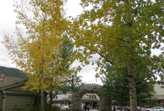 景点模块 