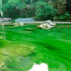 景点模块 