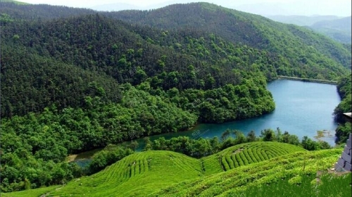 马山湿地