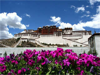 怎么去西藏林芝旅游_深圳特價(jià)西藏林芝游_國(guó)慶西藏林芝游價(jià)格