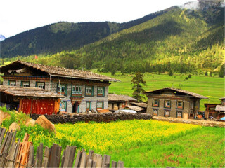 怎么去西藏林芝旅游_深圳特價(jià)西藏林芝游_國(guó)慶西藏林芝游價(jià)格