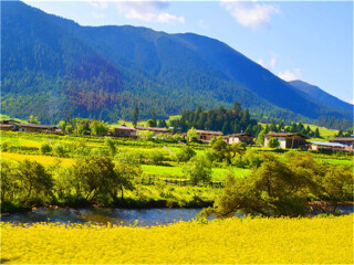 怎么去西藏林芝旅游_深圳特價(jià)西藏林芝游_國(guó)慶西藏林芝游價(jià)格