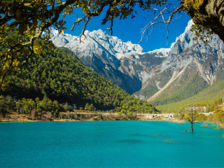 去云南玉龍雪山游怎么省錢_云南玉龍雪山旅游團(tuán)_到云南玉龍雪山旅游報(bào)團(tuán)價(jià)格