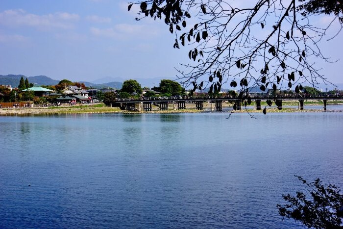 京都岚山公园和渡月桥