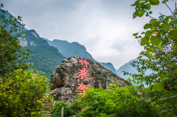 神农架山人口_神农架官门山图片(2)