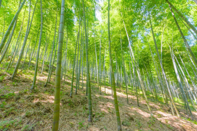 这个夏天在湖父静静的享受慢生活