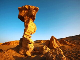 过年去额济纳旗胡杨林旅游团_额济纳旗胡杨林七日游_几月份去额济纳旗胡杨林旅游好