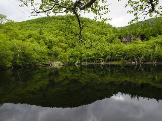 哈尔滨九月旅游_哈尔滨5日旅游团_东莞到哈尔滨游