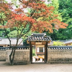 景点模块 