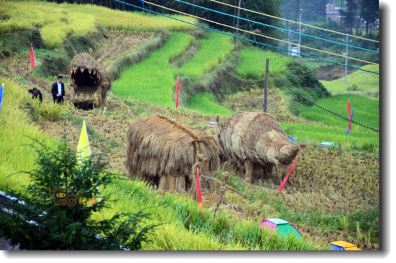 黑山县胜利乡人口_黑山县南湖北门公园