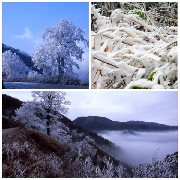 猫儿山除了佛光,日出日落,云海这些自然奇观之外冬天山上的雪景和雾凇