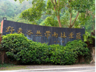 去丽江的旅游团_跟团去丽江旅游多少钱_丽江旅游报团