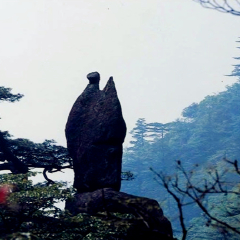 景点模块 