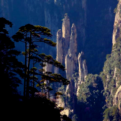 景点模块 