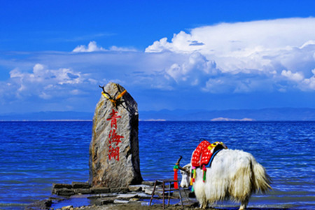  塔尔寺-青海湖二郎剑1日游>游览藏传佛教圣地和中国美丽内陆咸水湖