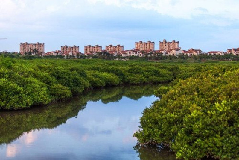 海南澄迈红树湾湿地公园自驾之旅