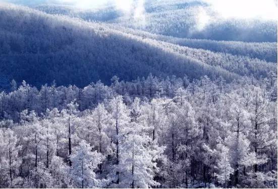 行走中国最北端 感受极致梦幻雪景【多图】_大兴安岭