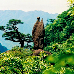 景点模块 