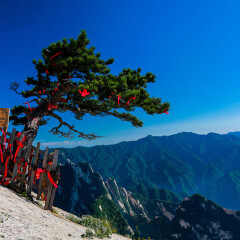 景点模块 