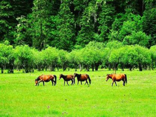 到香格里拉旅游报价_香格里拉团旅游_去香格里拉游